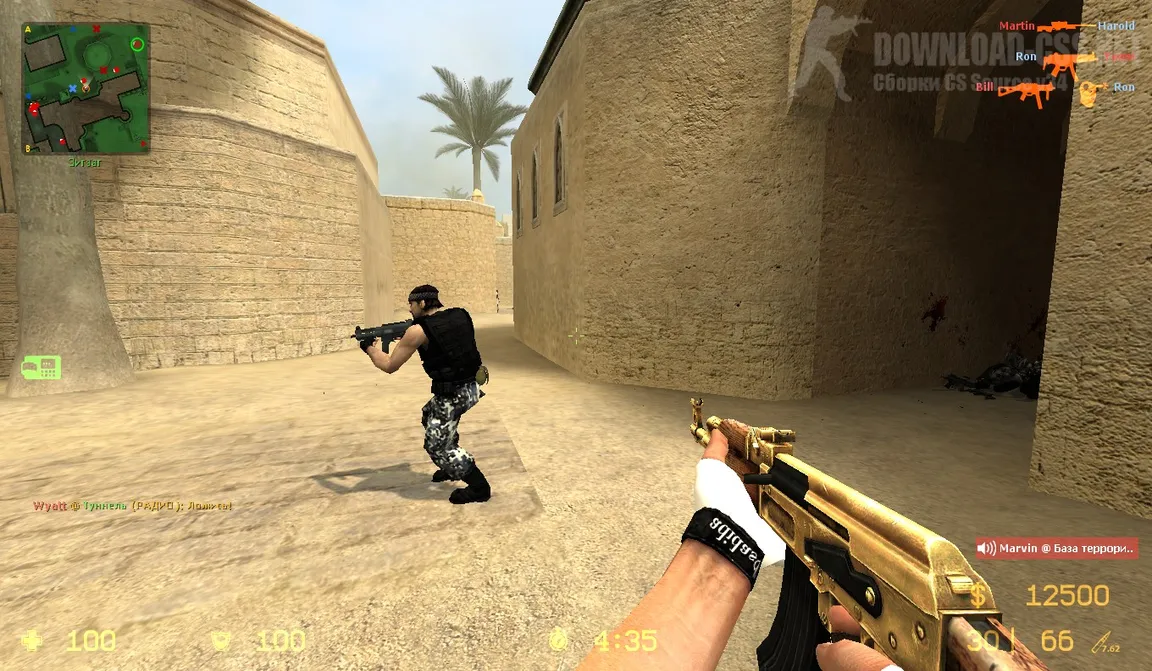 css v34 gold weapons